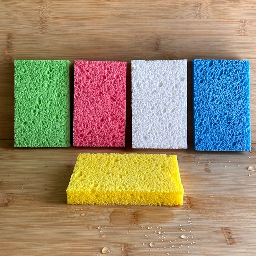 Cellulose Natural Cleaning Sponge - Concordia Style Boutique