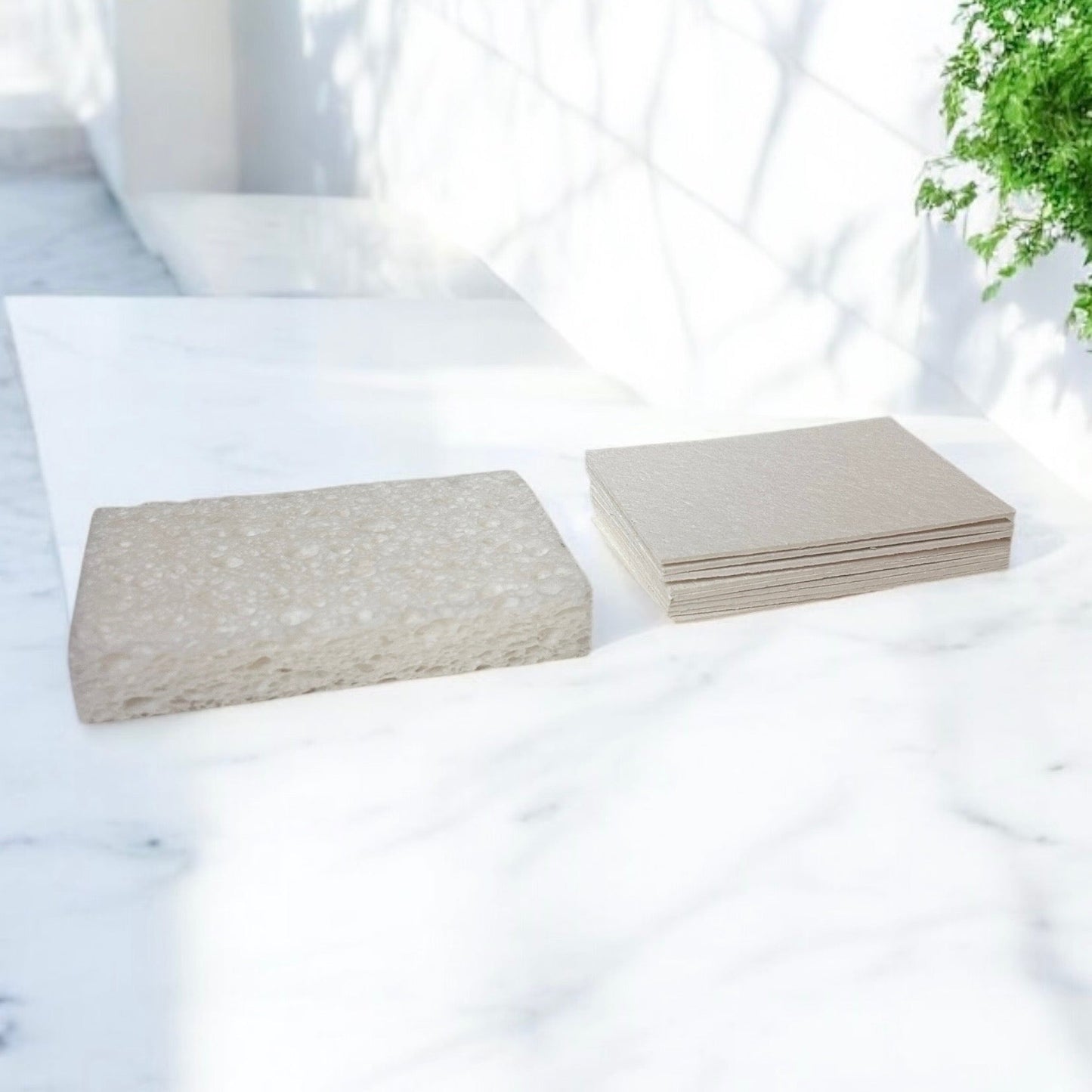 Cellulose Natural Cleaning Sponge - Concordia Style Boutique