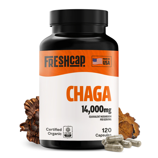 Chaga Mushroom Extract Capsules - Concordia Style Boutique
