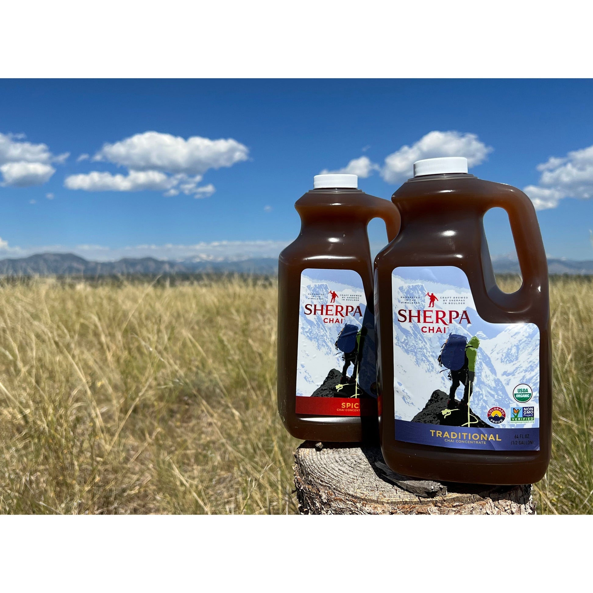 Chai Concentrate | Sherpa Chai - Concordia Style Boutique