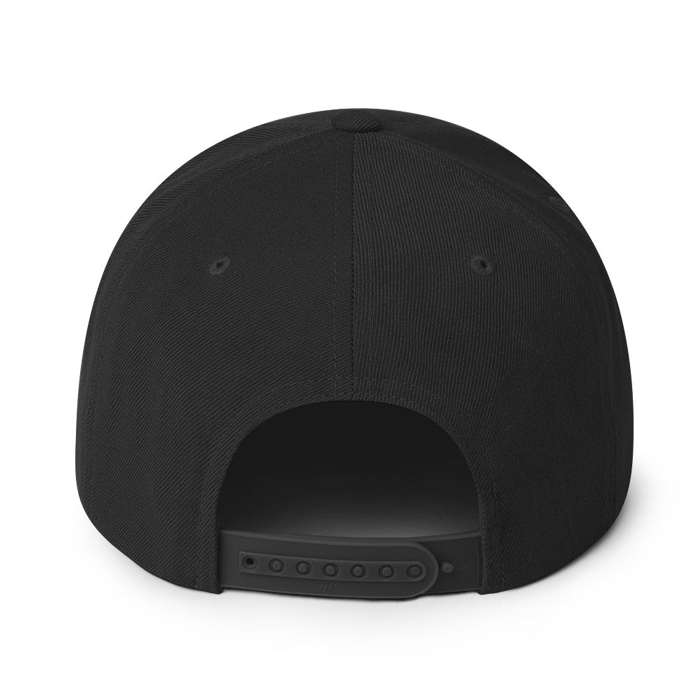 Bitcoin B (Black Embroidery) Snapback Hat - Concordia Style Boutique