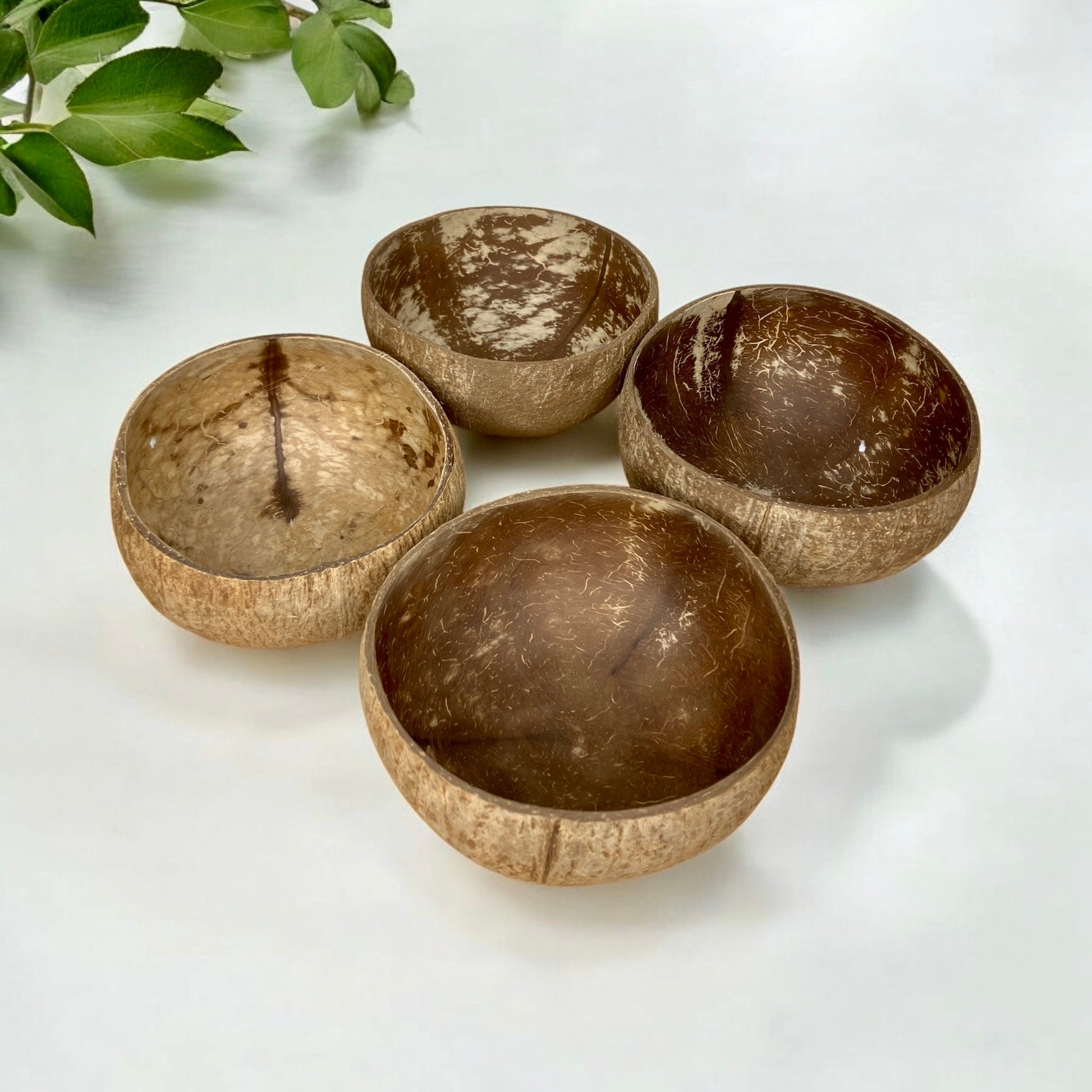 Coconut Bowl - Premium Kitchen & Dining from Bamboo Switch - Just $9.99! Shop now at Concordia Style Boutique