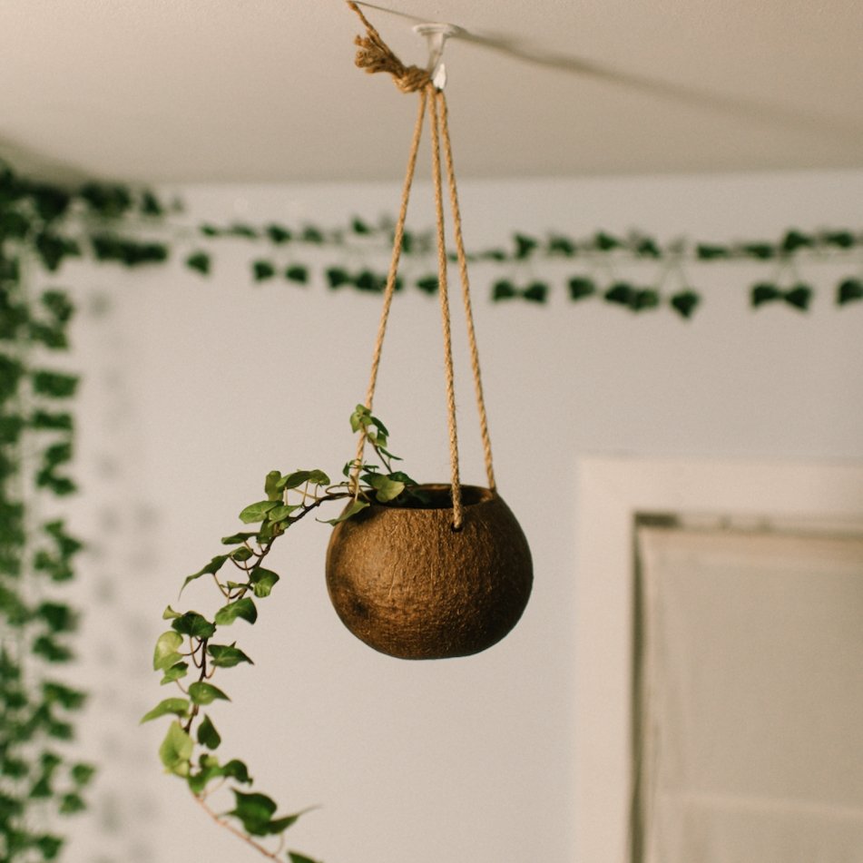 Coconut Planter with Jute Twine - Concordia Style Boutique
