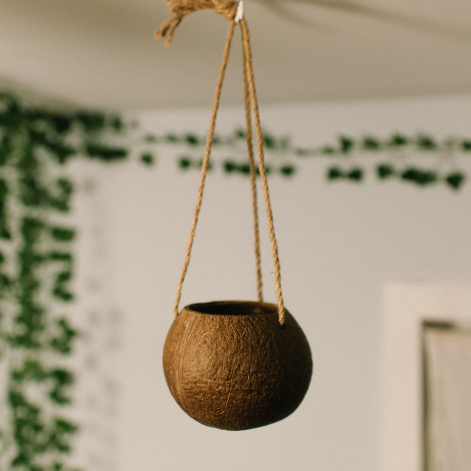 Coconut Planter with Jute Twine - Concordia Style Boutique