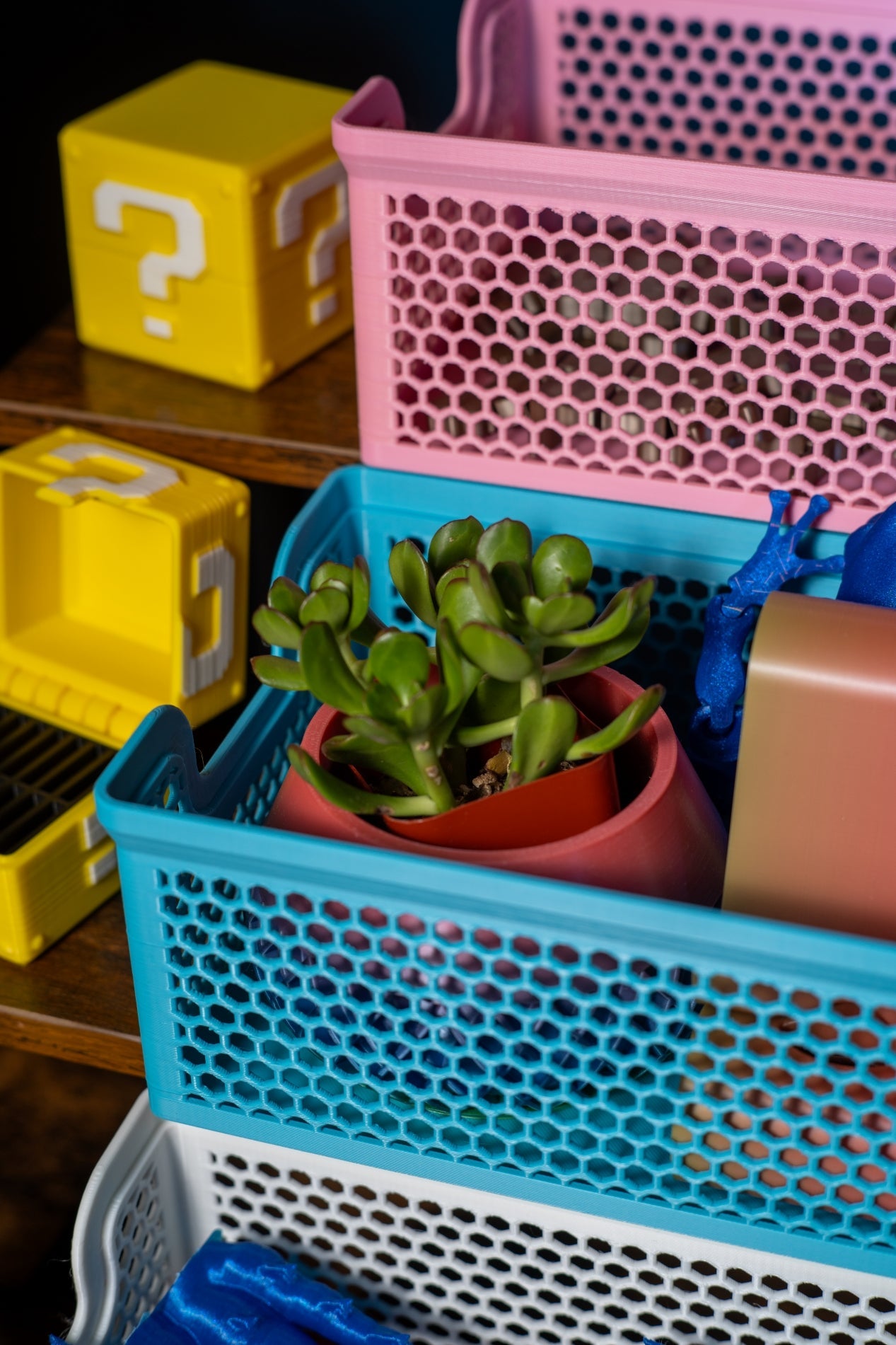 The Arcane Coin Cache - 3D Printed Artwork - Concordia Style Boutique