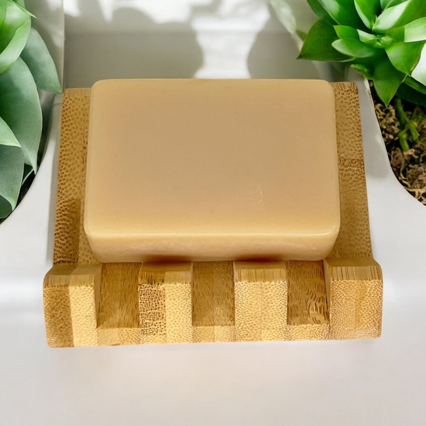 Cold Process Soap Bar | Coconut - Concordia Style Boutique