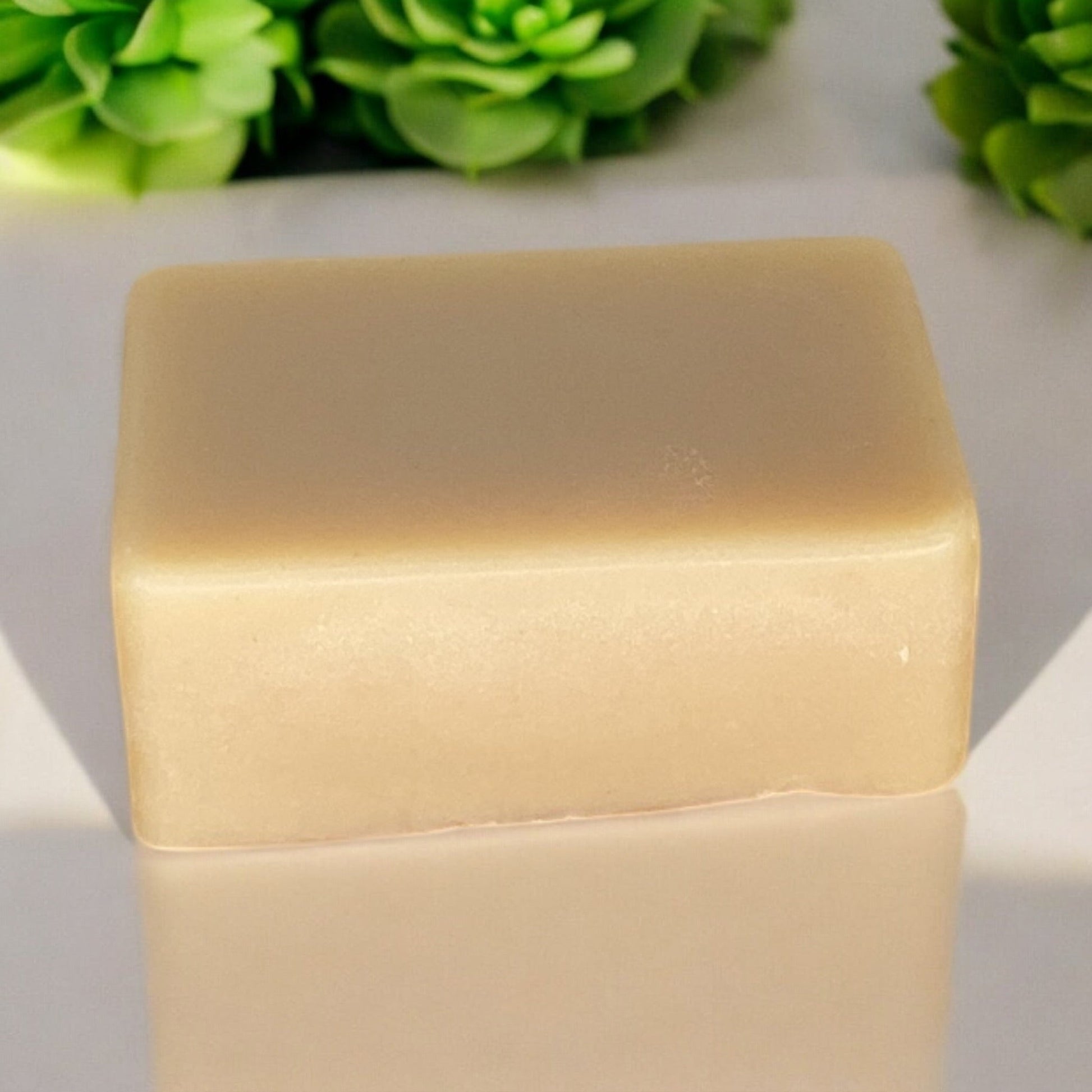 Cold Process Soap Bar | Coconut - Concordia Style Boutique