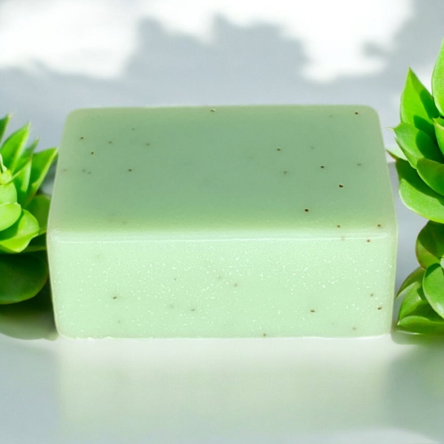 Cold Process Soap Bar | Tea Tree - Concordia Style Boutique