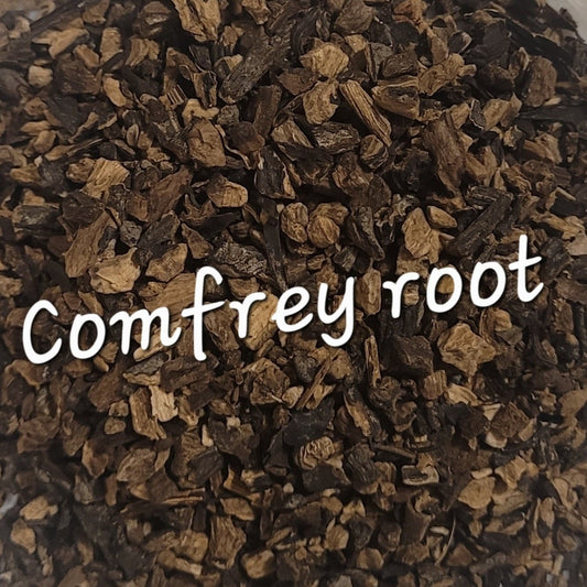 Comfrey Root | Bone & Tissue Support