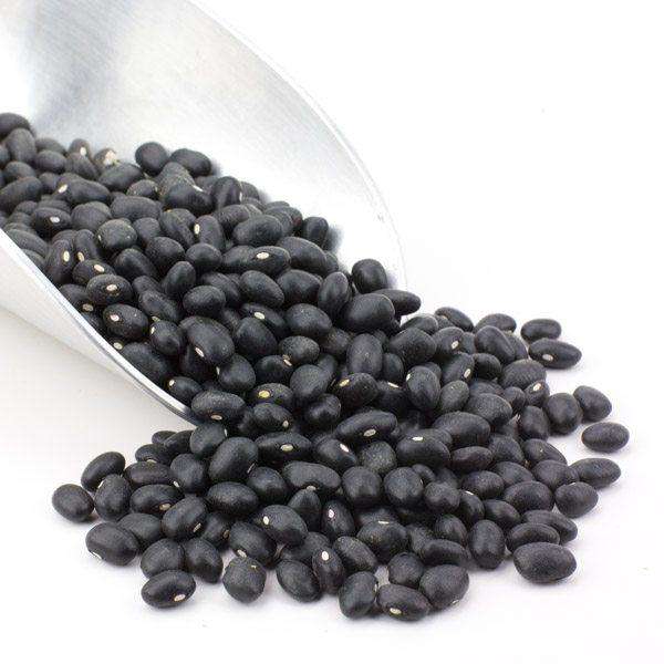 Black Turtle Beans, Organic - Concordia Style Boutique