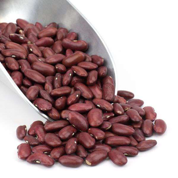 Kidney Beans, Dark Red, Organic - Concordia Style Boutique