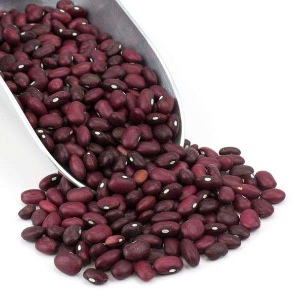 Red Beans, Organic, Small - Concordia Style Boutique