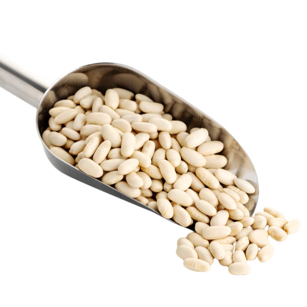 Navy Beans - Concordia Style Boutique