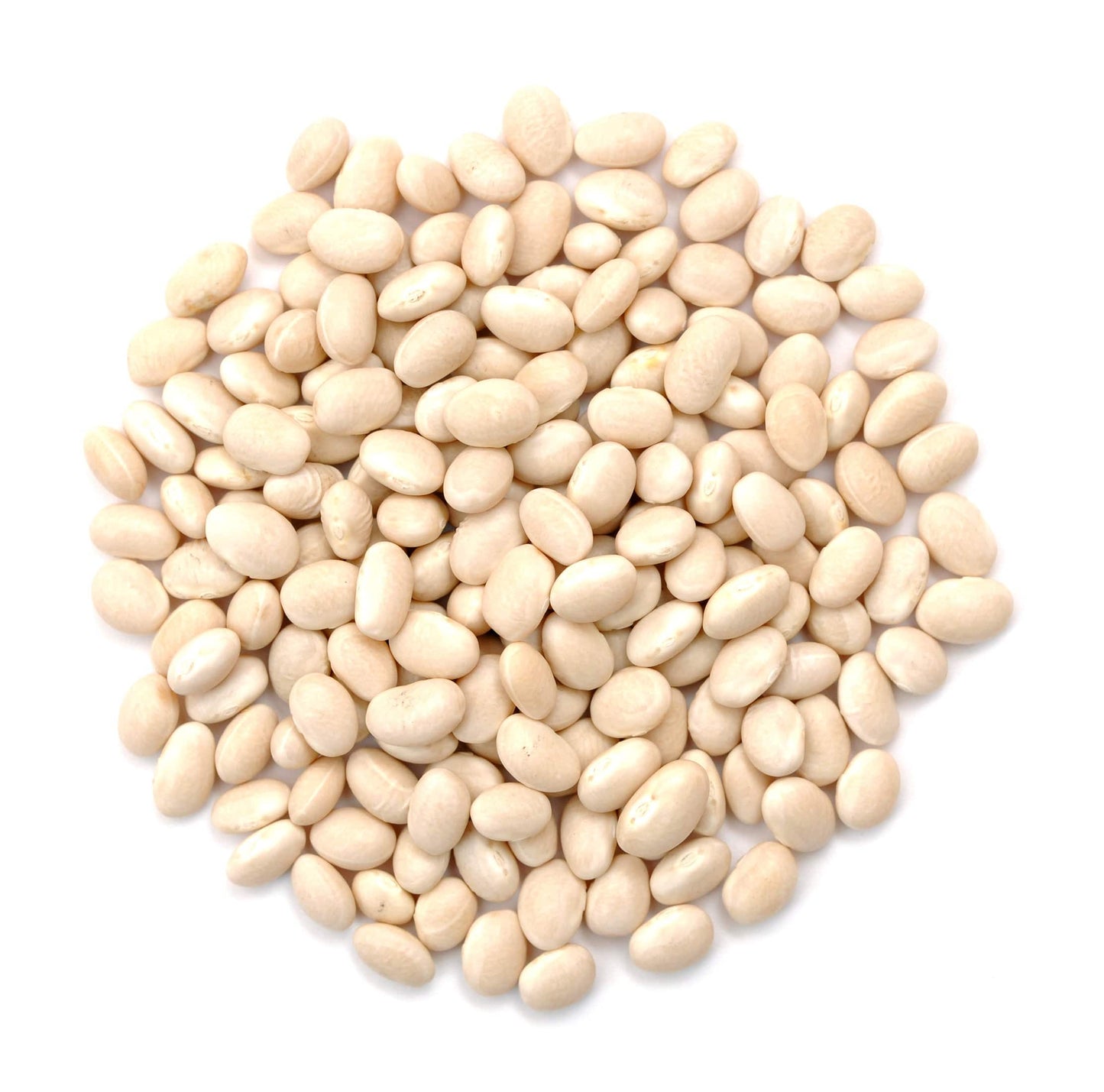 Navy Beans, Organic - Concordia Style Boutique