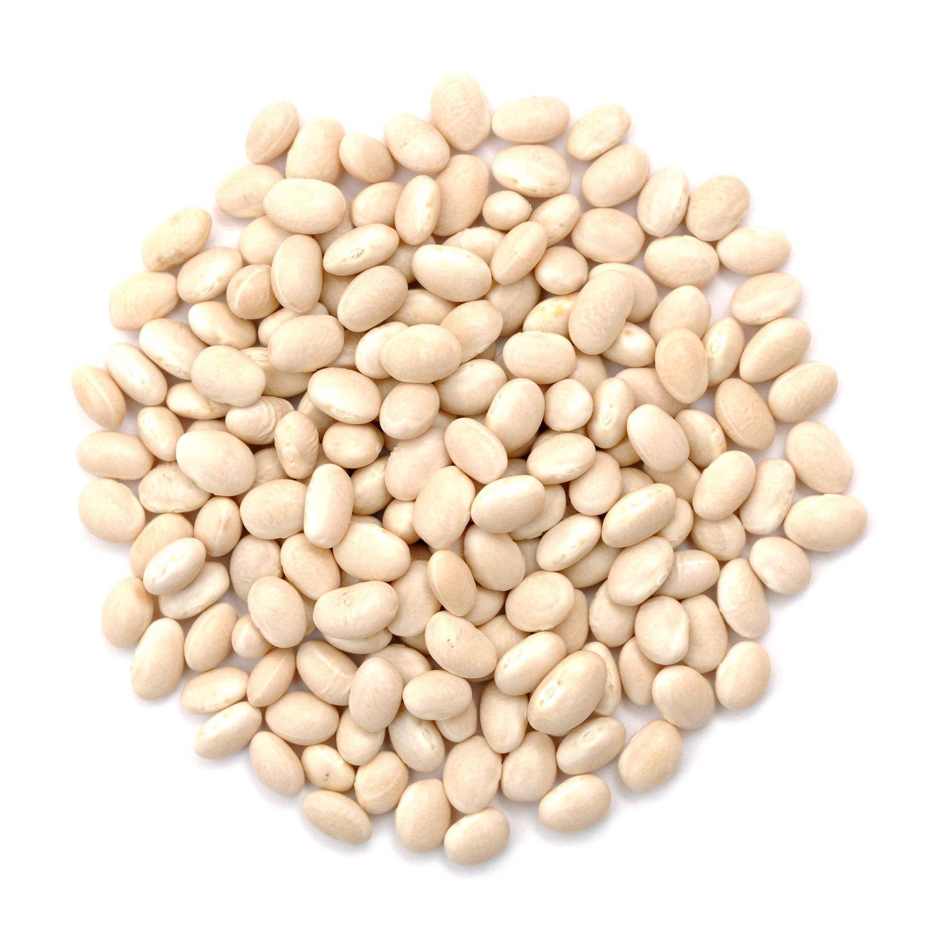 Navy Beans, Organic - Concordia Style Boutique