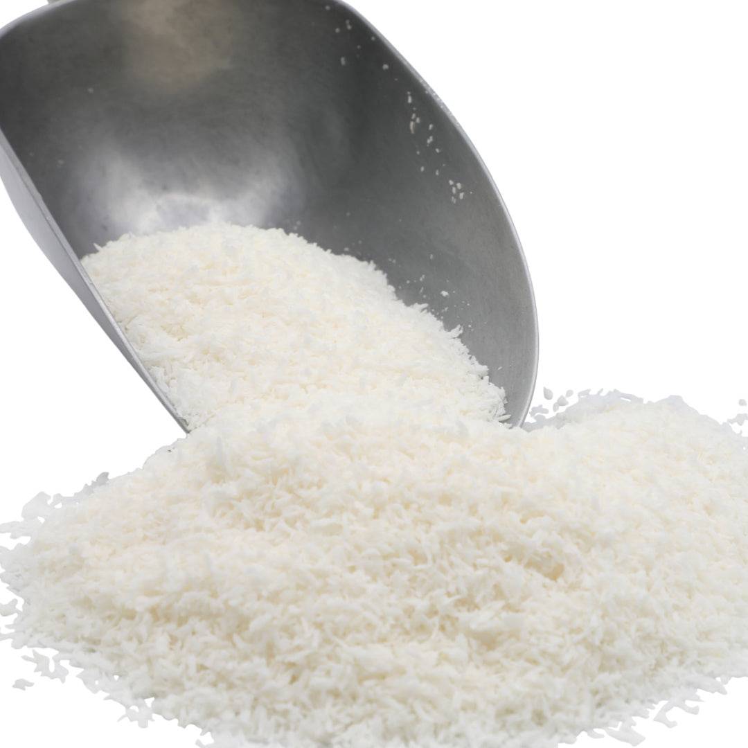 Coconut, Medium, Organic - Concordia Style Boutique