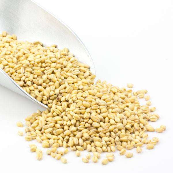 Wheat Berries, Soft White, Organic - Concordia Style Boutique