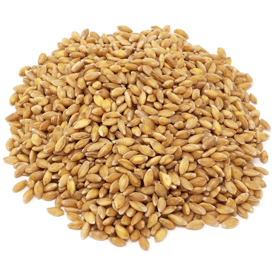 Einkorn Berries, Organic - Concordia Style Boutique