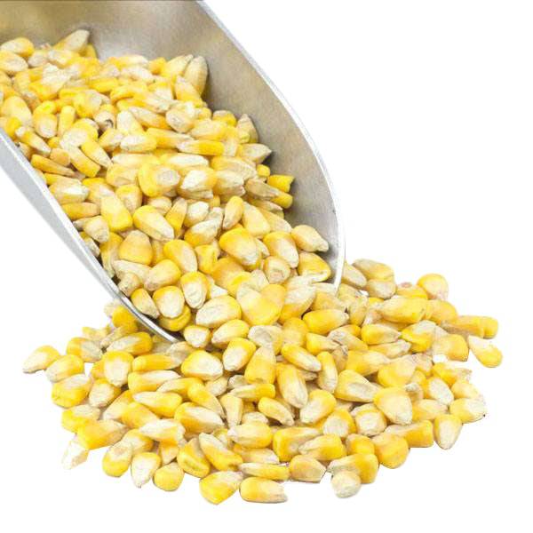 Corn, Whole Yellow, Organic - Concordia Style Boutique