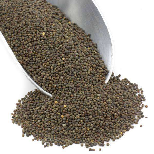 Broccoli Seed, Organic - Concordia Style Boutique