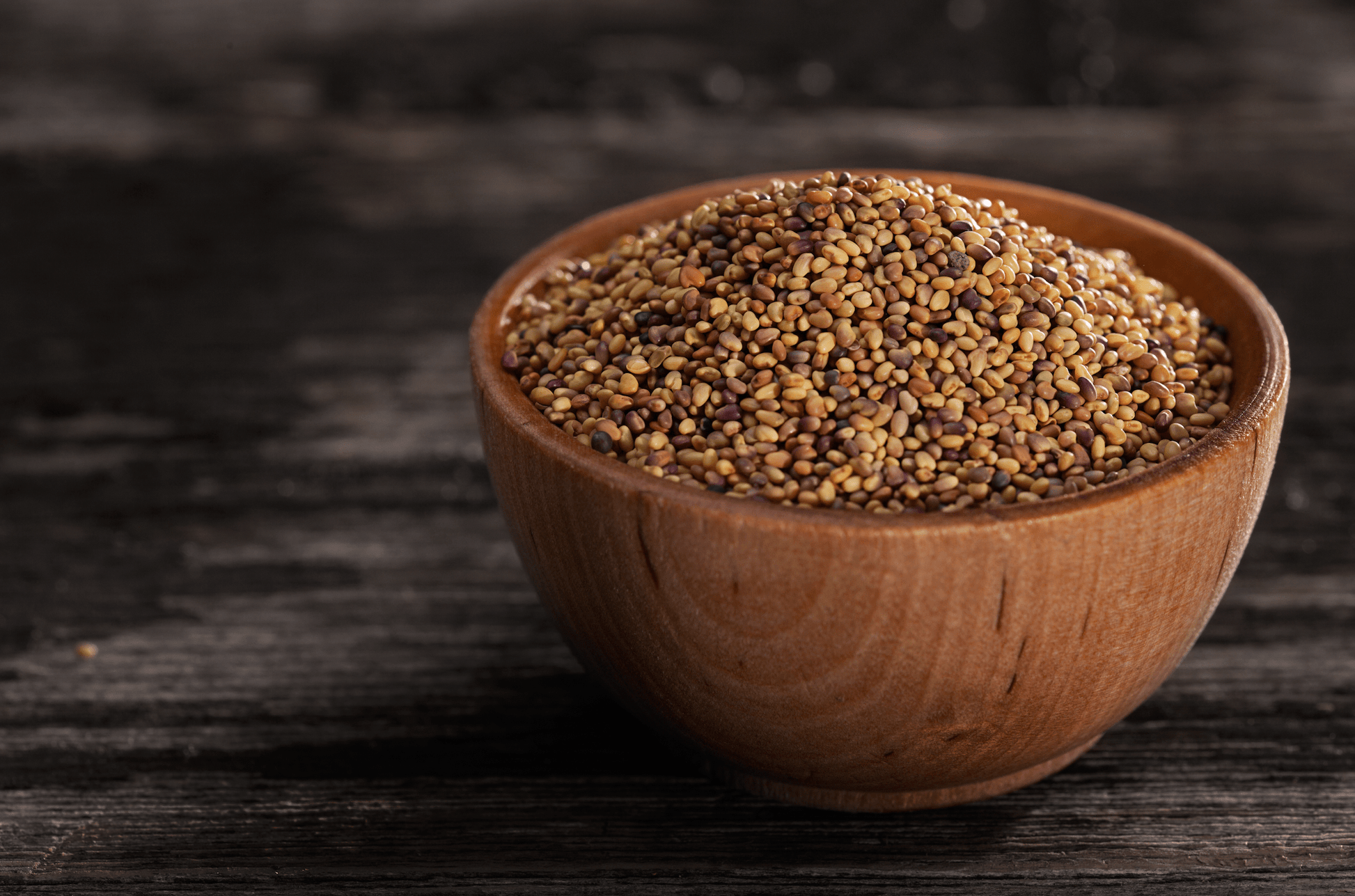 Clover Seeds, Red, Organic - Concordia Style Boutique