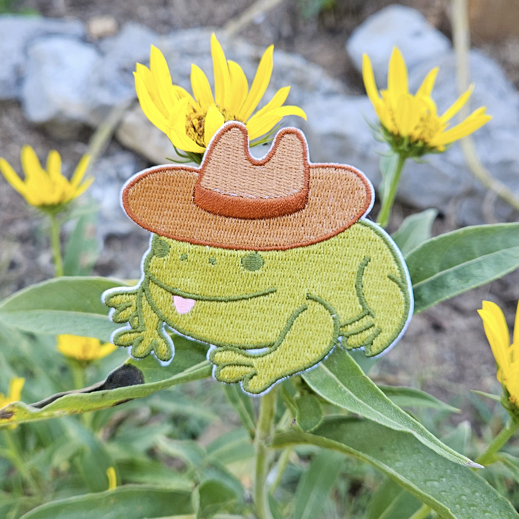 Cowboy Frog Iron on Patch - Concordia Style Boutique