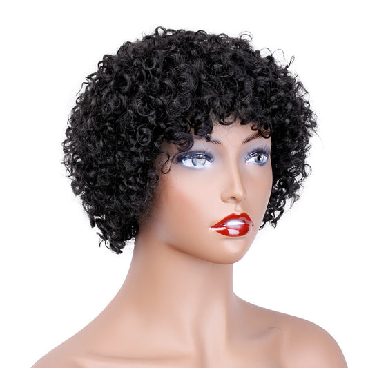 Short Curly Hair Wig - Real Human Hair - Premium wig from Concordia Style Boutique - Just $29.97! Shop now at Concordia Style Boutique