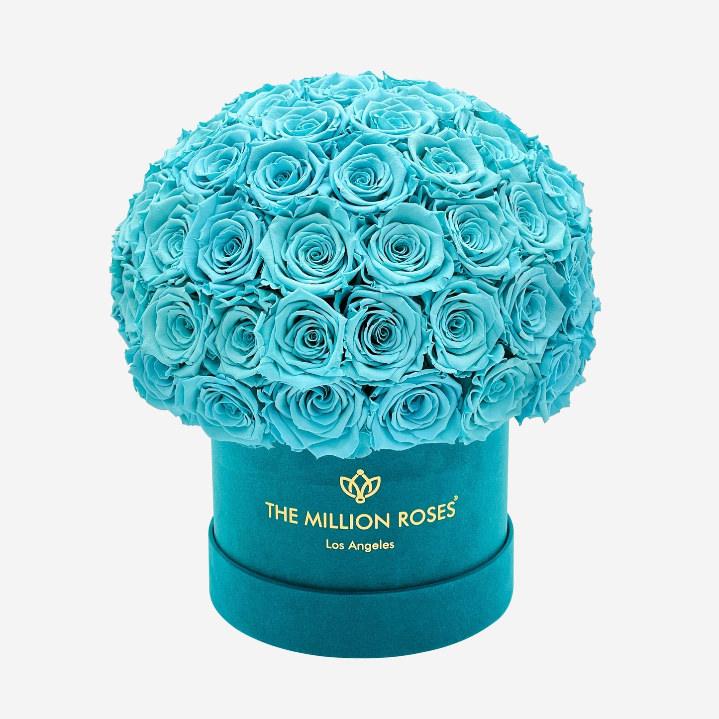 Classic Dark Green Suede Superdome Box | Turquoise Roses