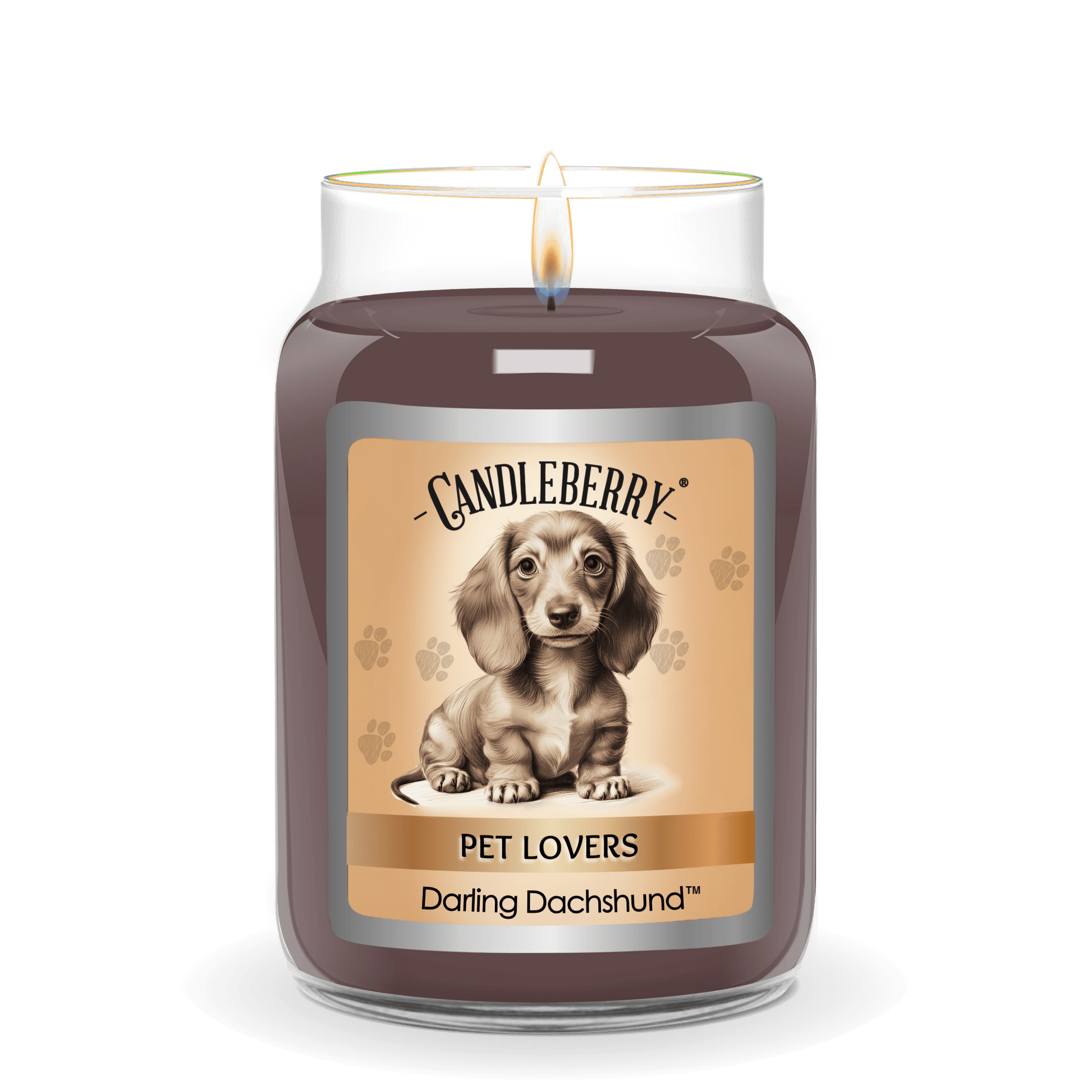 Darling Dachshund - Large Jar Candle (Collective) - Concordia Style Boutique