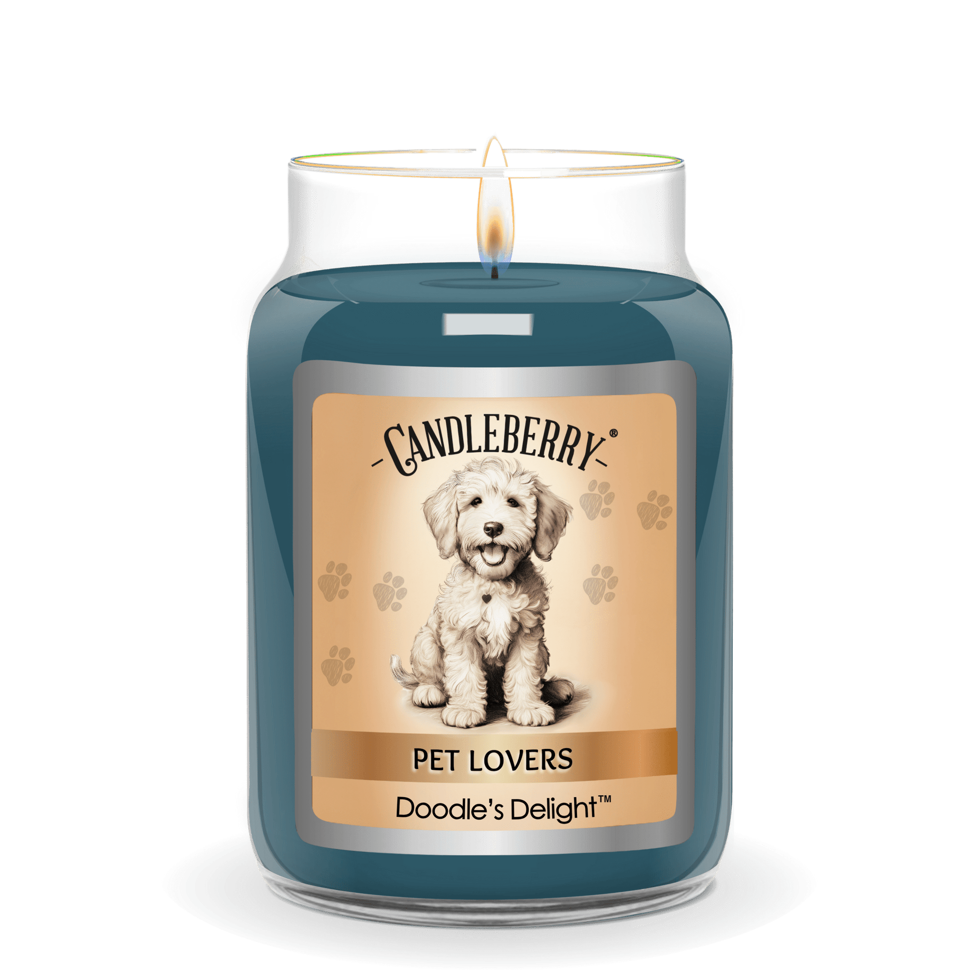 Doodle's Delight - Large Jar Candle (Collective) - Concordia Style Boutique