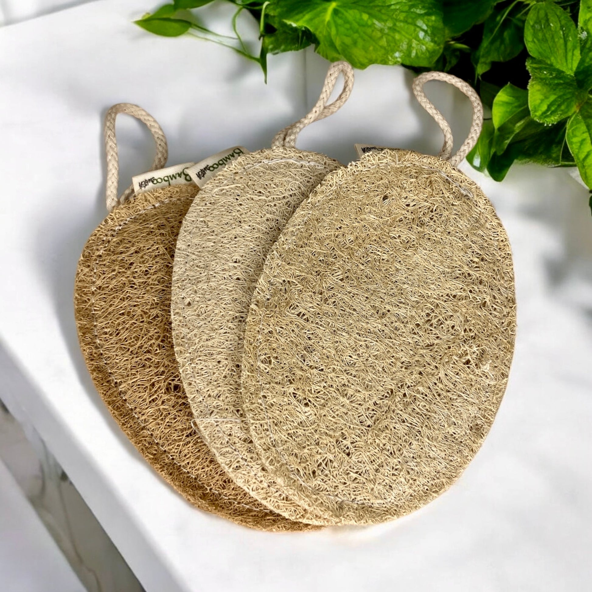 Exfoliating Loofah | Oval - Concordia Style Boutique
