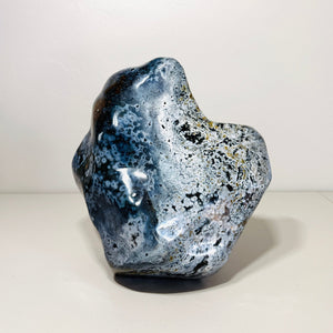 Descriptive image text