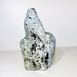 Descriptive image text