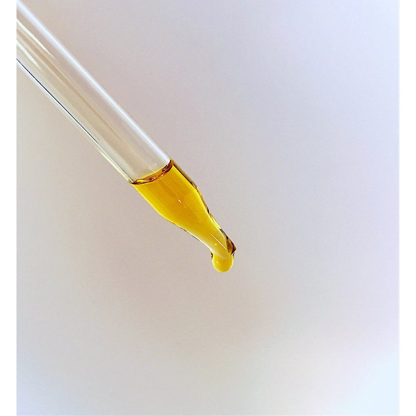 Organic Face & Eye Serum / Organic Facial Oil / Anti-Aging Serum / Organic Facial Serum / Natural Face Oil Butter Me Up Organics / - Concordia Style Boutique