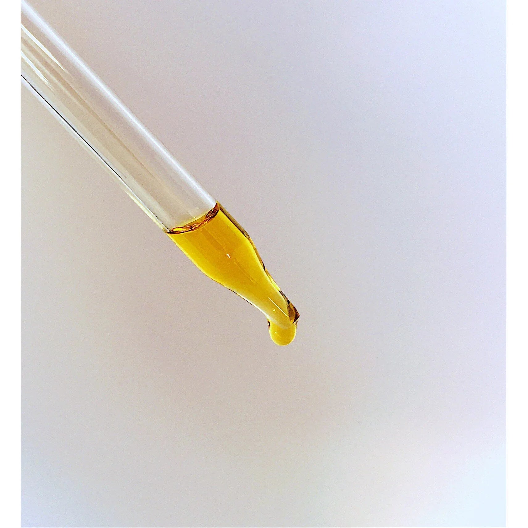 Organic Face & Eye Serum / Organic Facial Oil / Anti-Aging Serum / Organic Facial Serum / Natural Face Oil Butter Me Up Organics / - Concordia Style Boutique