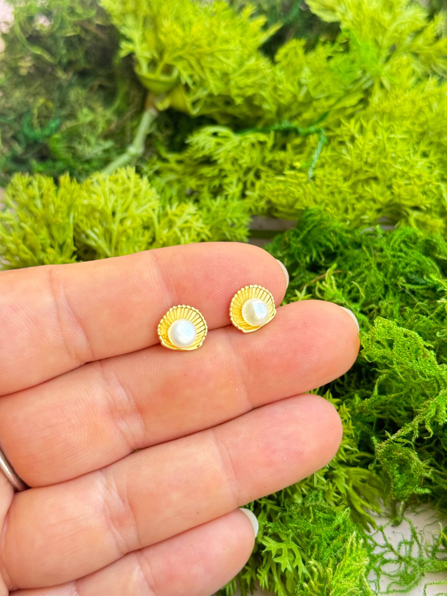 Shell & Pearl Studs - Concordia Style Boutique