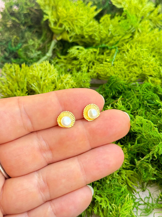 Shell & Pearl Studs - Concordia Style Boutique