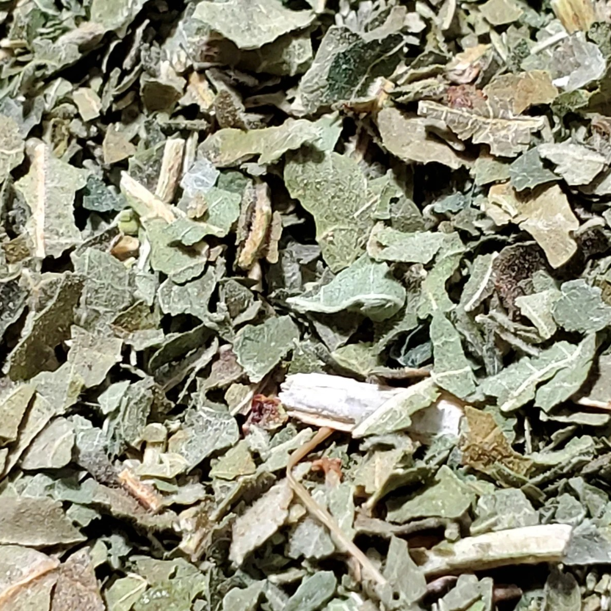 Fig Leaves | Digestive Comfort & Metabolic Balance