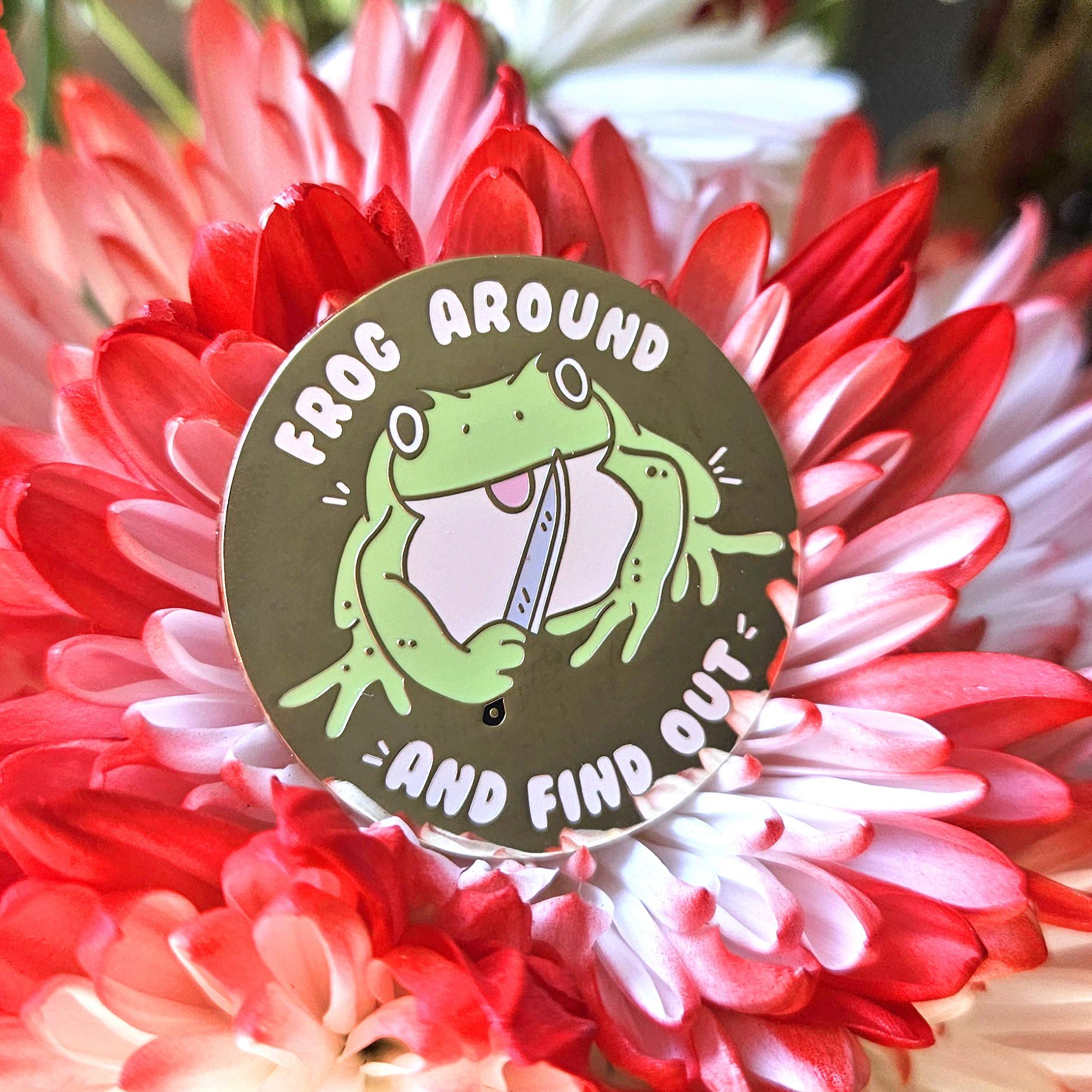 Frog around and find out - Pin Club - Concordia Style Boutique