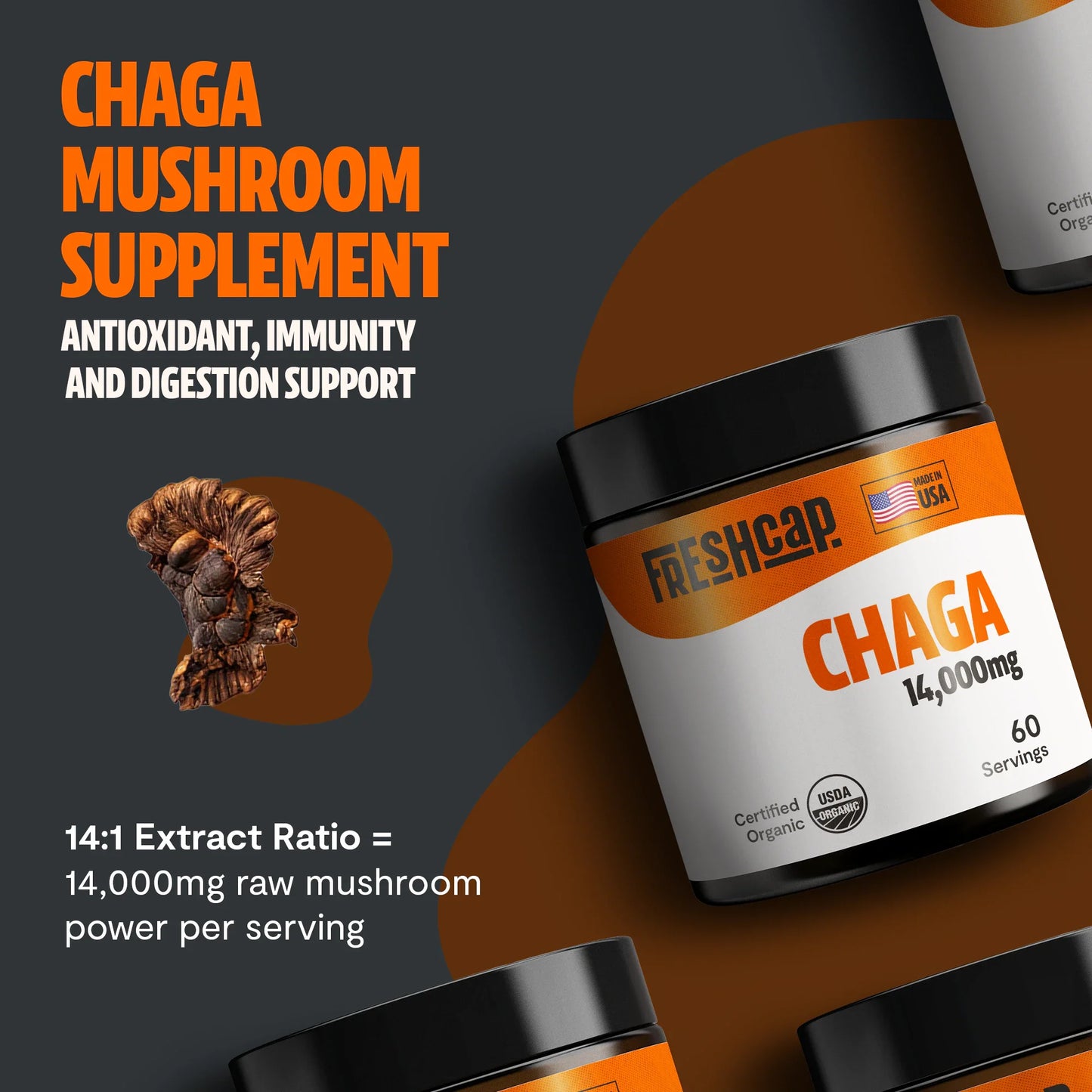 Chaga Mushroom Extract Powder - Concordia Style Boutique