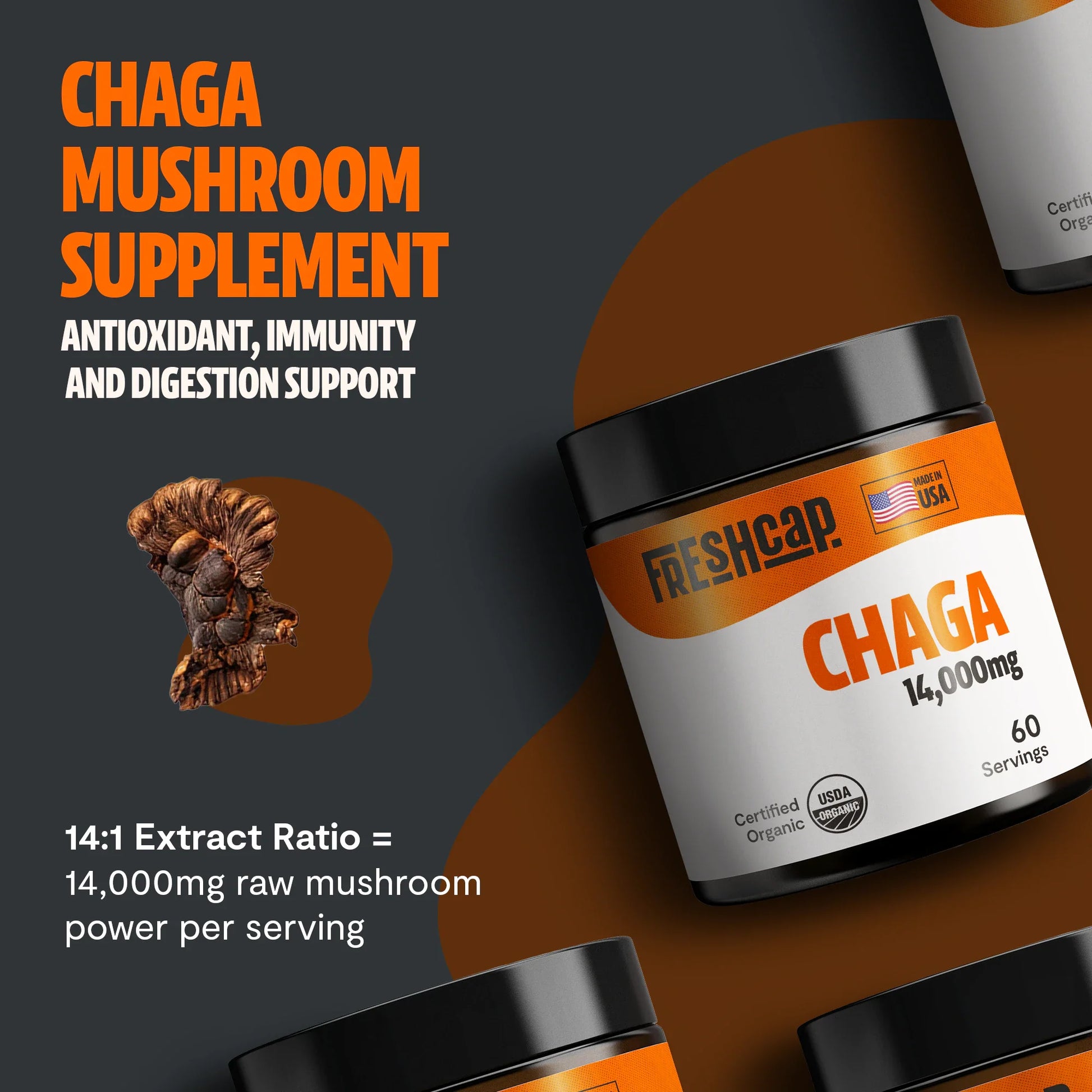 Chaga Mushroom Extract Powder - Concordia Style Boutique