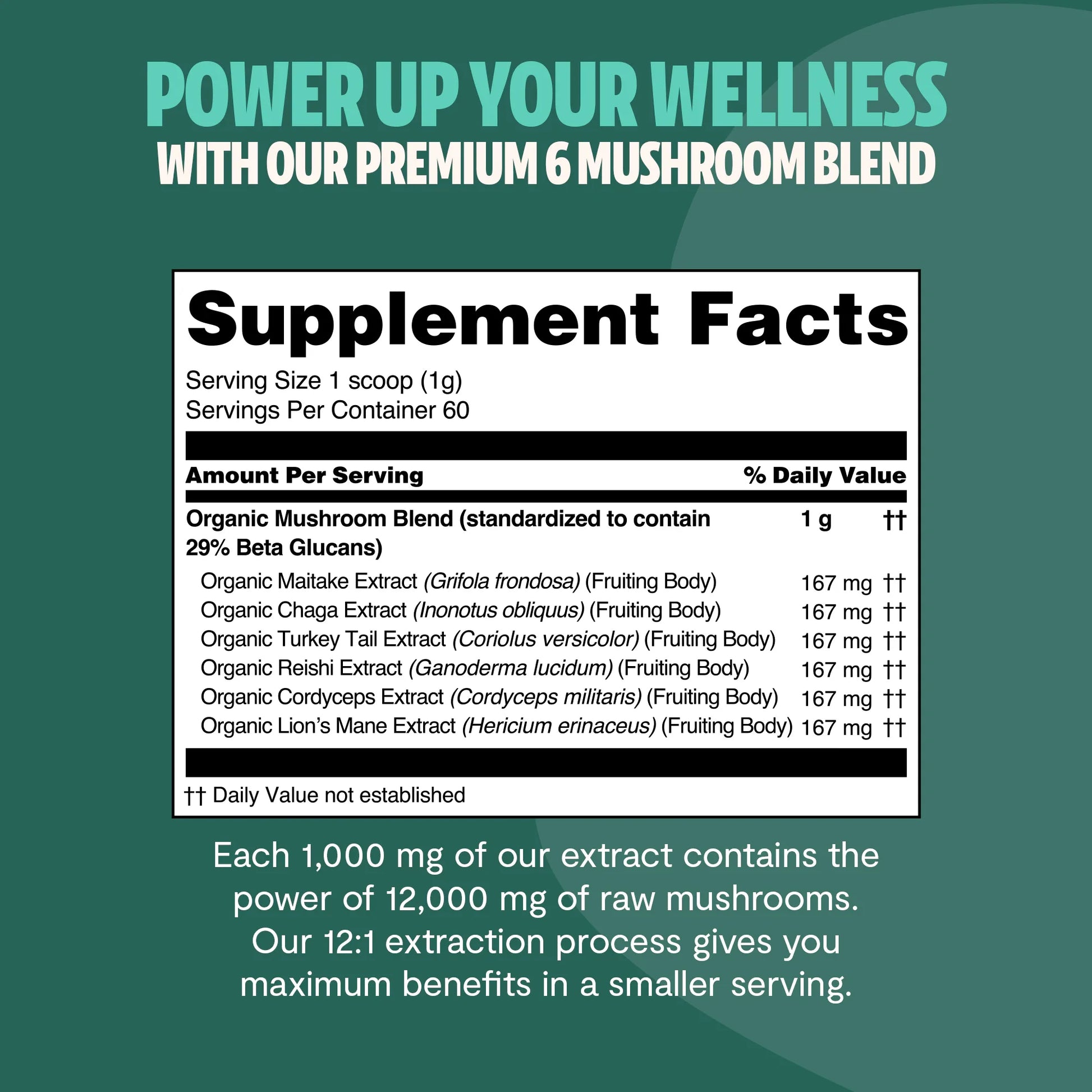 Ultimate Mushroom Complex Powder - Concordia Style Boutique
