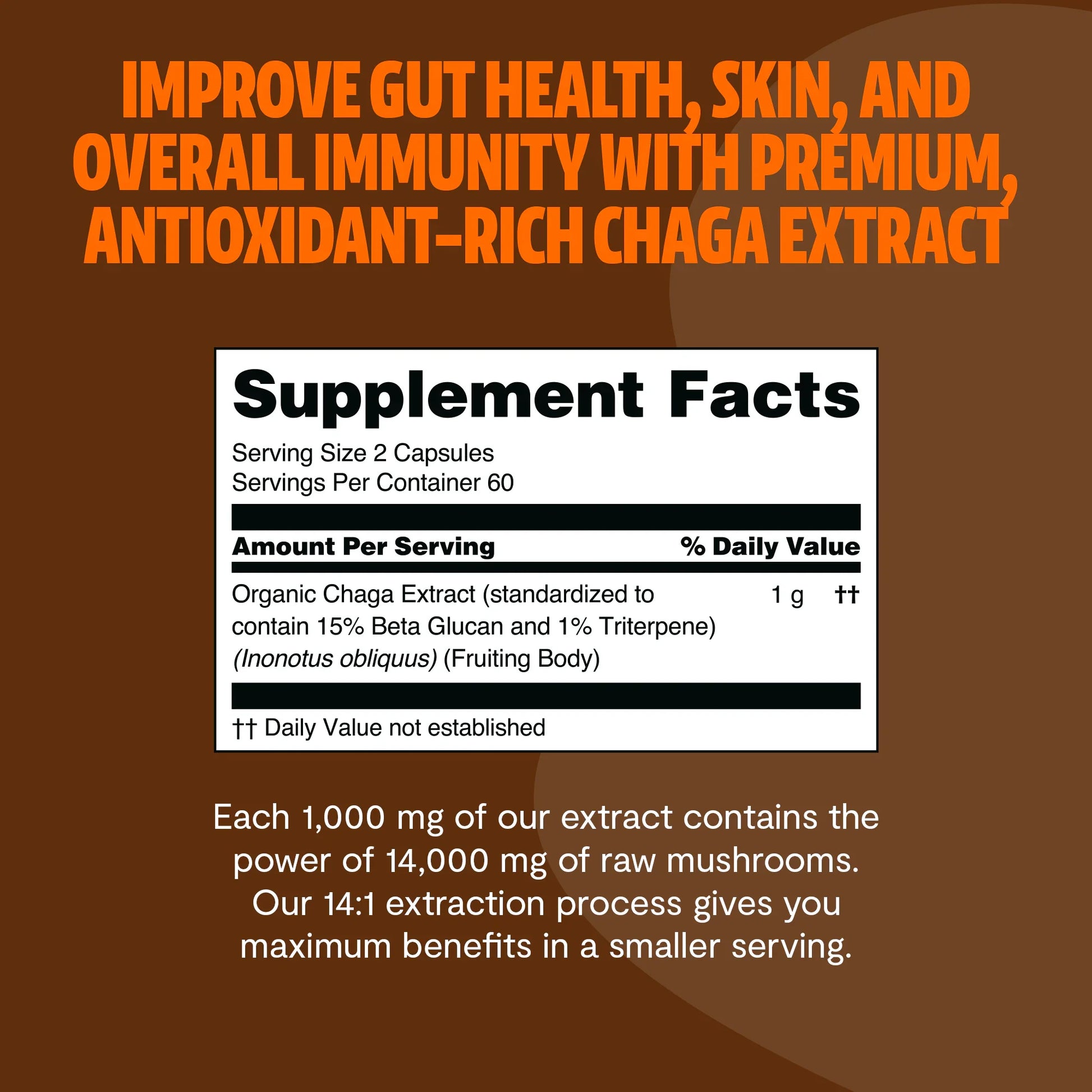 Chaga Mushroom Extract Capsules - Concordia Style Boutique
