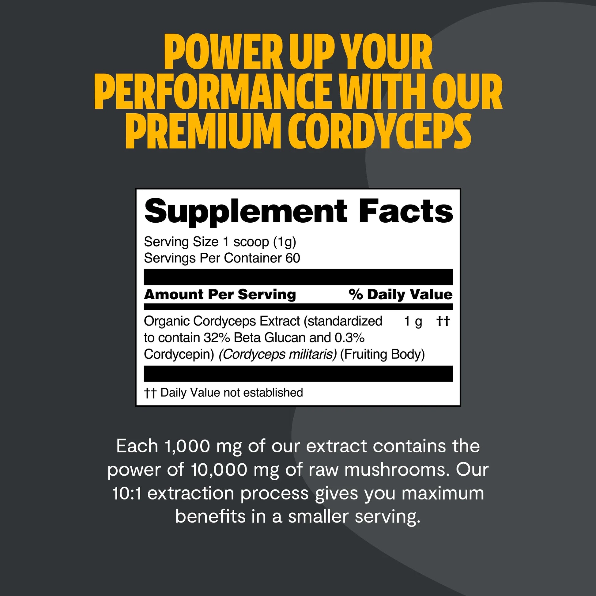Cordyceps Mushroom Extract Powder - Concordia Style Boutique