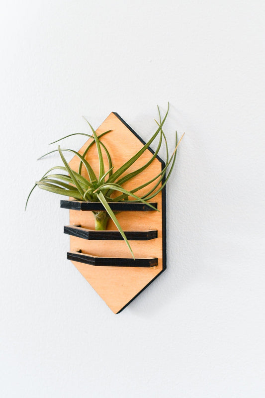Geometric Air Plant Holder - Concordia Style Boutique