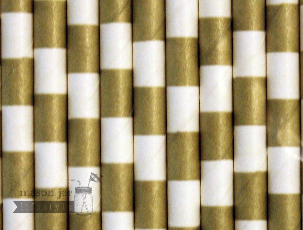 Random 24 Pack Paper Straws - Concordia Style Boutique