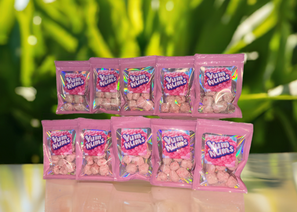 Watermelon YumNums Freeze-Dried Candy - 10 Bags of Crunchy, Juicy Perfection - Concordia Style Boutique