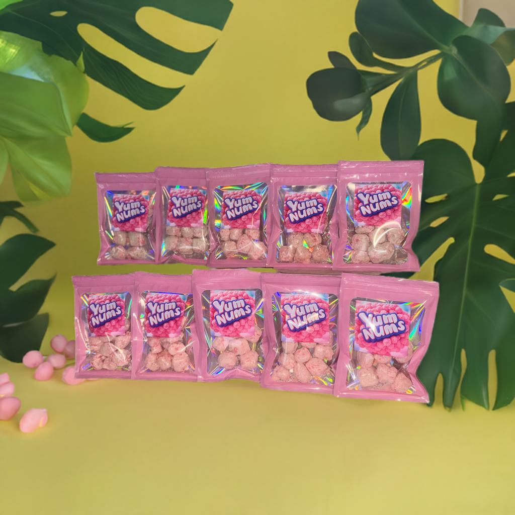 Watermelon YumNums Freeze-Dried Candy - 10 Bags of Crunchy, Juicy Perfection - Concordia Style Boutique