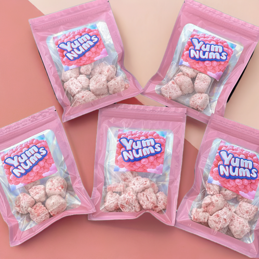 Watermelon YumNums Freeze-Dried Candy - 5 Bags of Juicy, Crunchy Delight - Concordia Style Boutique