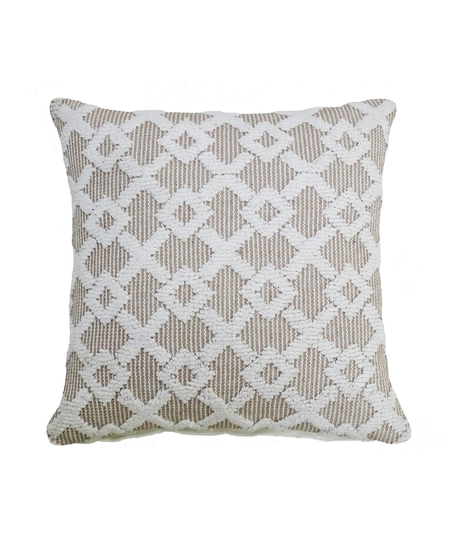 Decorative Accent Throw Pillow  20"x20"